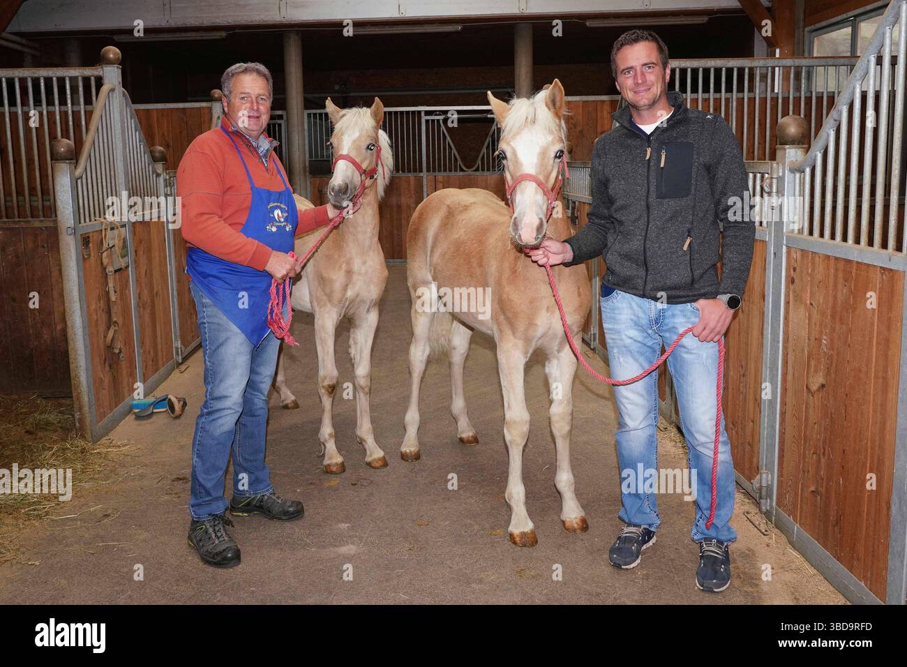 Alexander Rier 37 hat das Gen Pferd und das Gen Musik vom prominenten ...