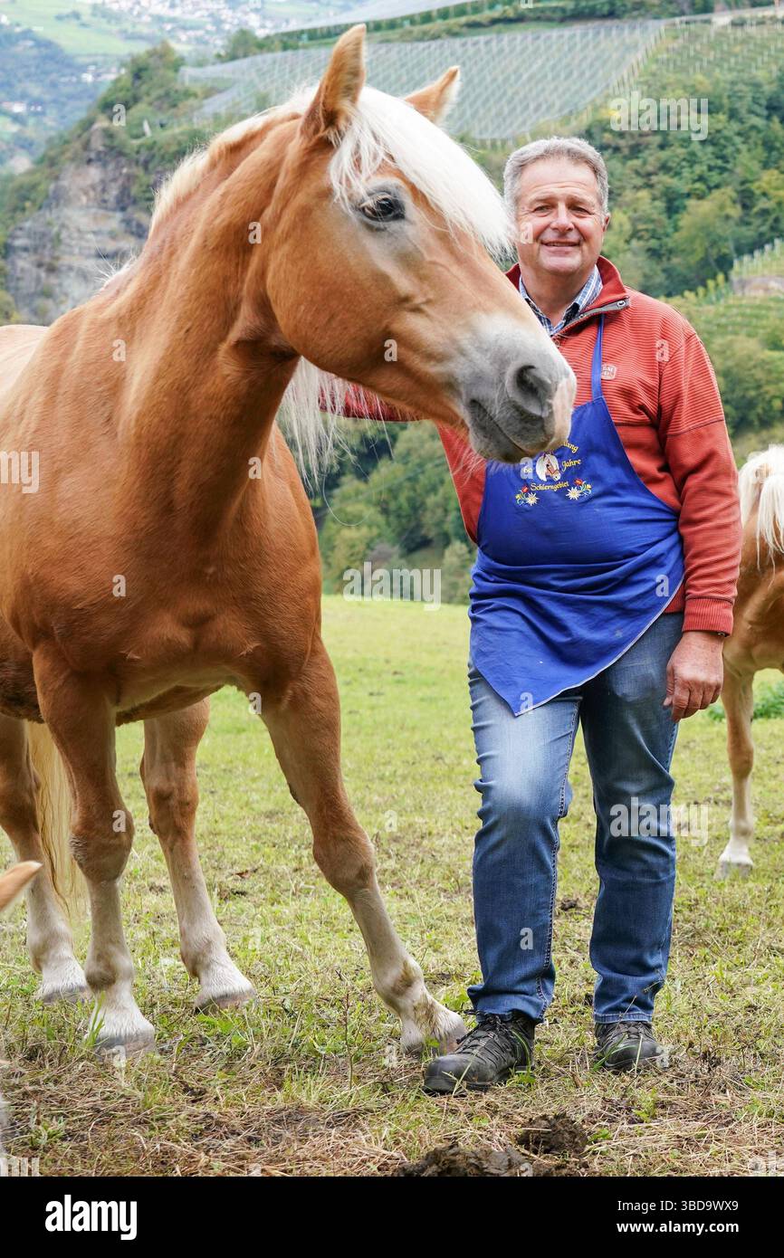Alexander Rier 37 hat das Gen Pferd und das Gen Musik vom prominenten ...