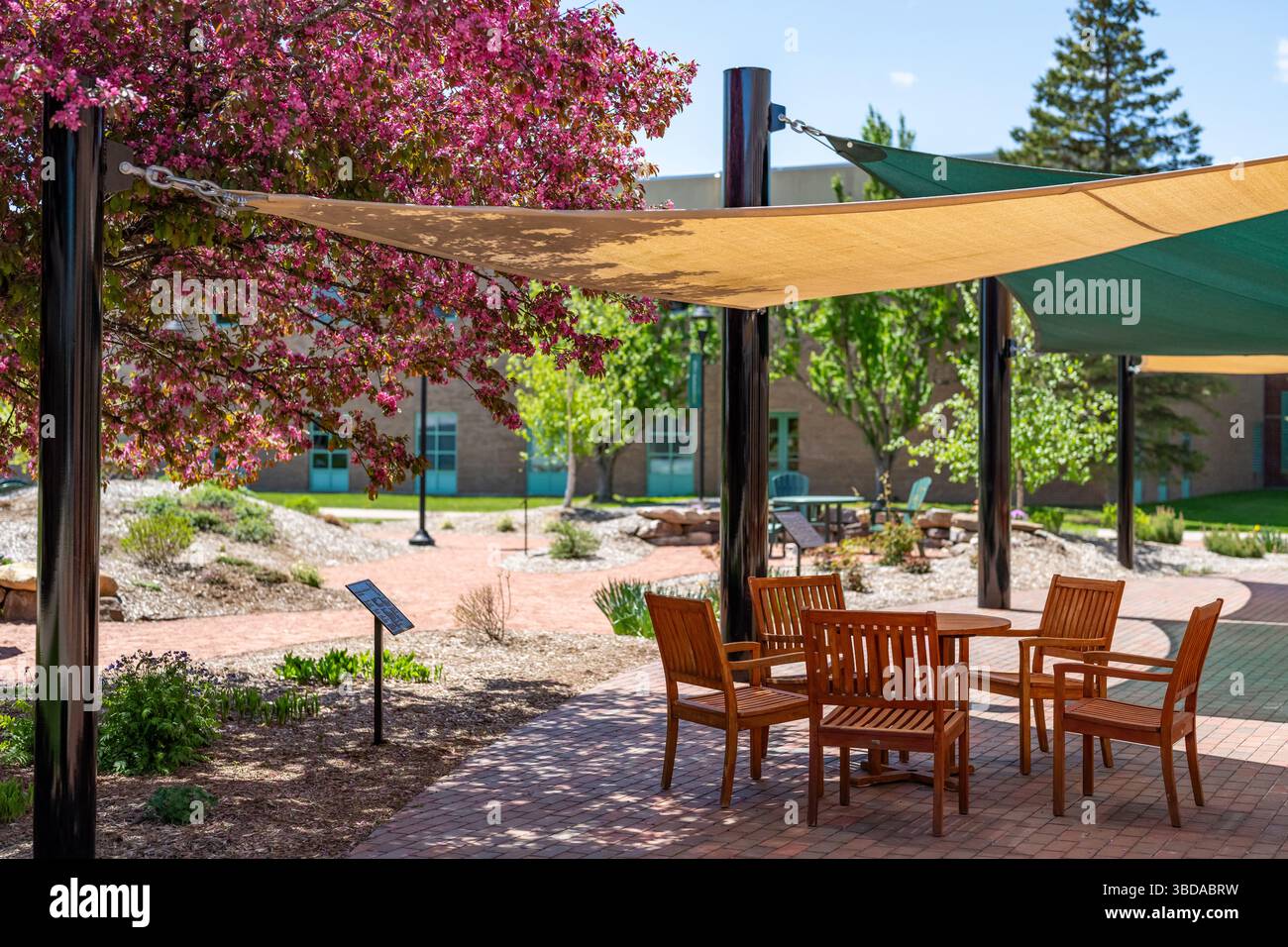 Outdoor seating area with wooden table and chairs under a shade structure on campus setting Stock Photo