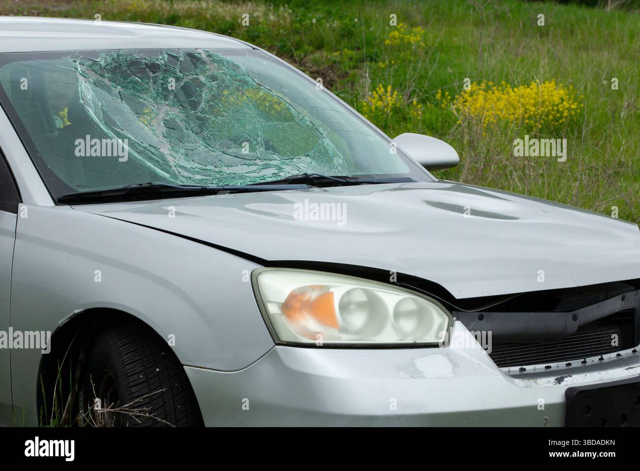 Broken down car with visible impact damage and cracked glass. Rural accident scene with wild vegetation. Stock Photo
