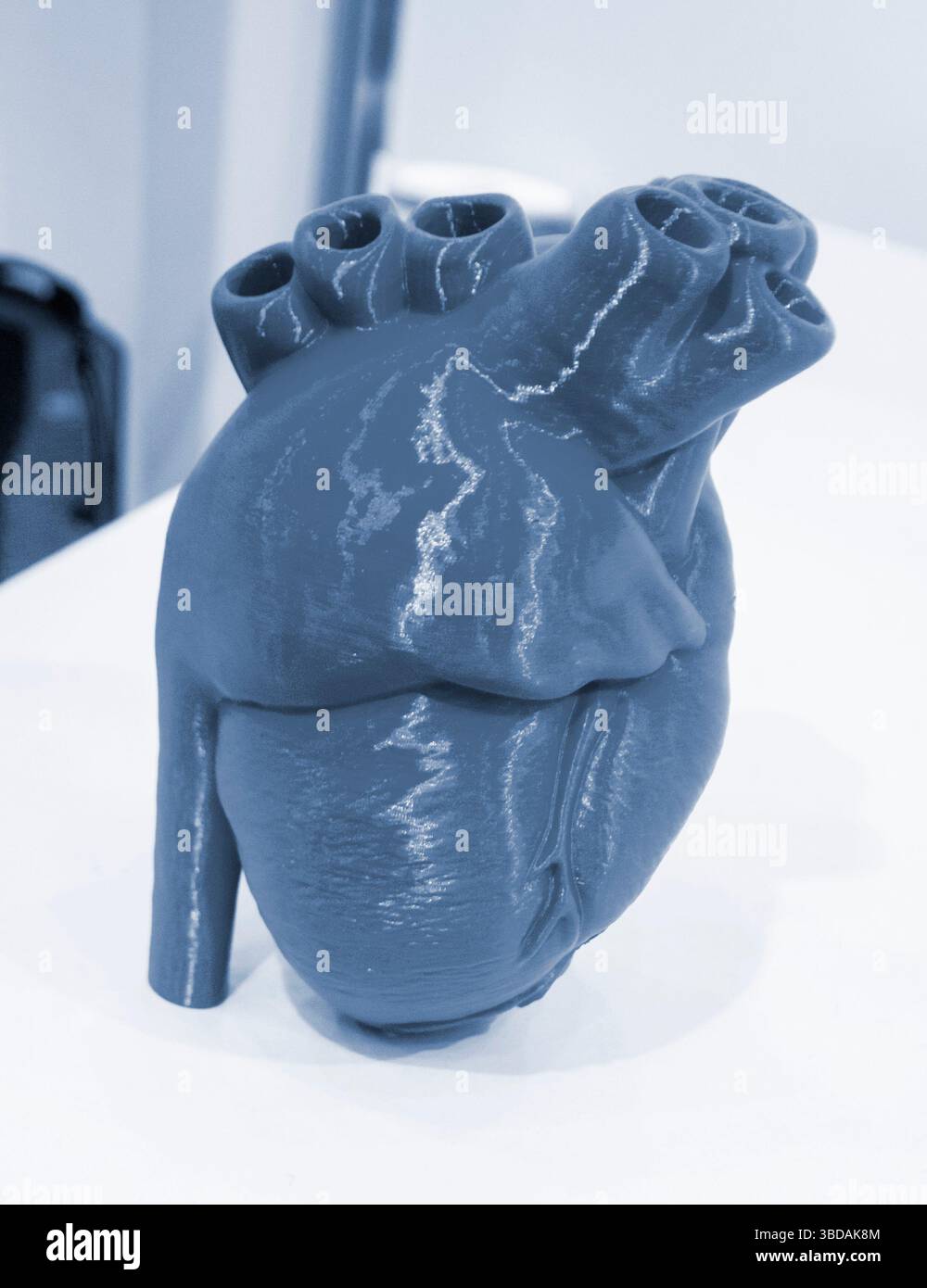 Prototype of the human heart printed on a 3D printer from blue plastic ...