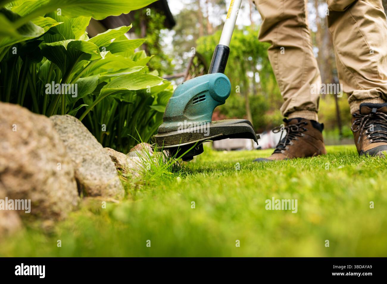 cutting grass with string trimmer. edging lawn Stock Photo