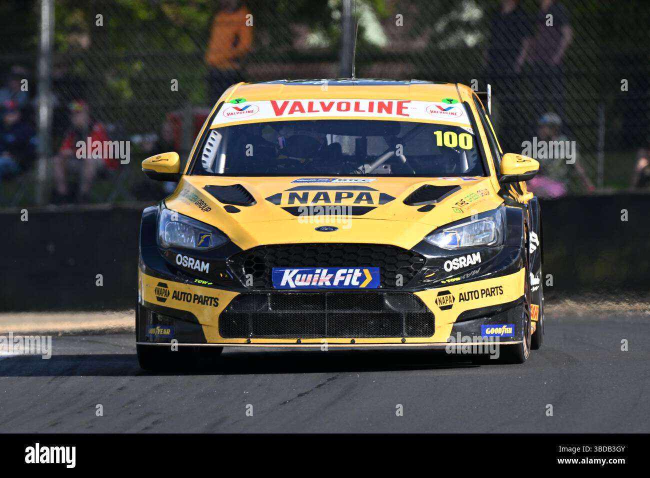 Ashley Sutton, Ford Focus ST, NAPA Racing UK, 2025 Kwik Fit Rounds 4, 5 ...