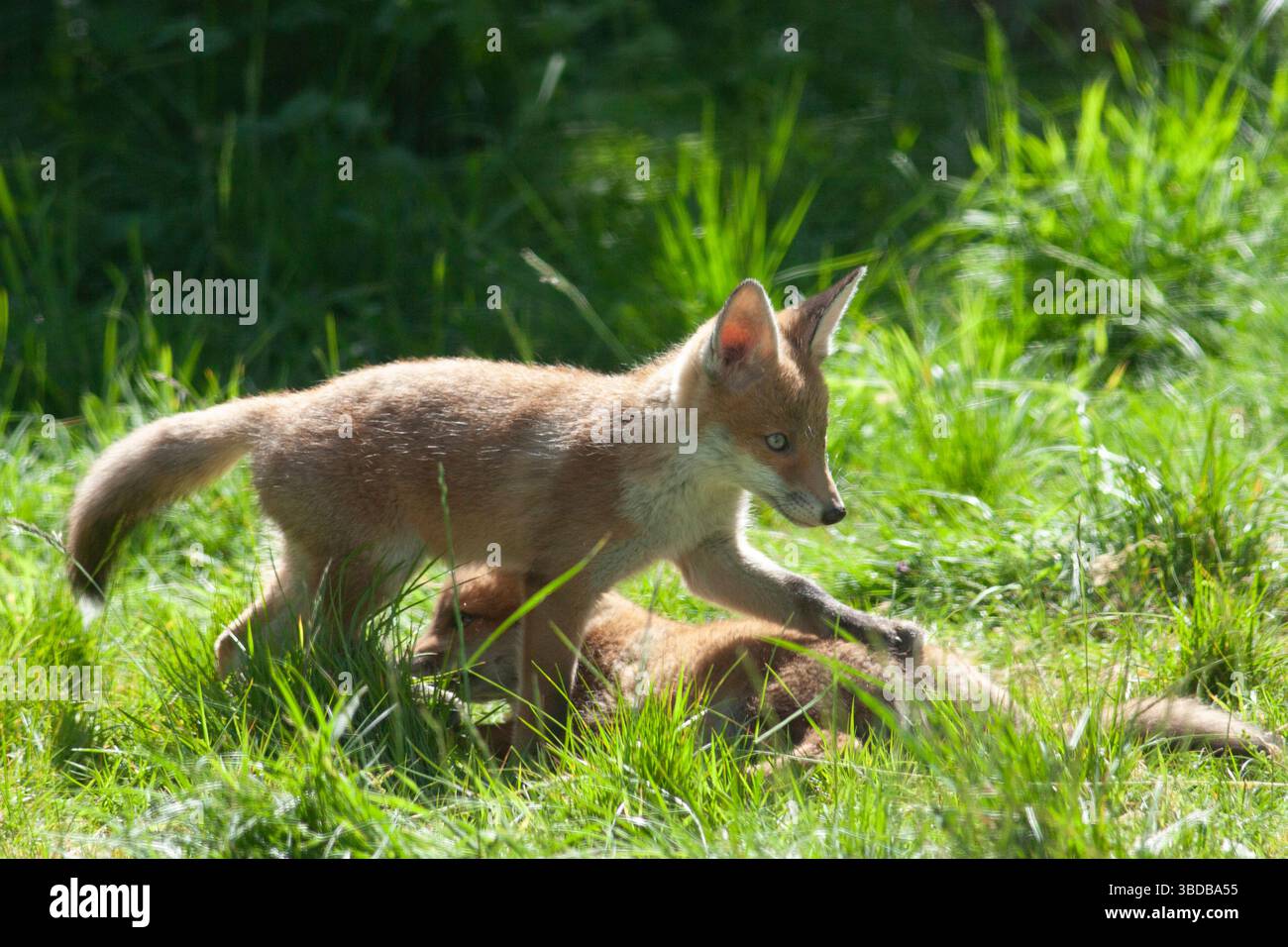 May 23 2025 london hi res stock photography and images Alamy May 23 2025 london hi res stock photography and images Alamy