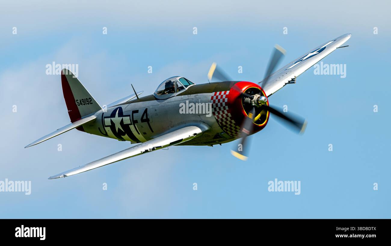 Republic P-47D Thunderbolt 'Nellie B' Stock Photo
