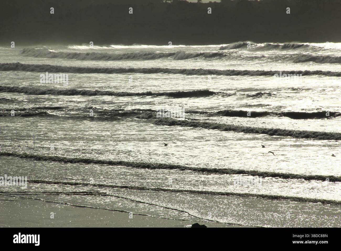 Waves at storm in the backlight, Atlantic Ocean, Plage de Kerloch ...