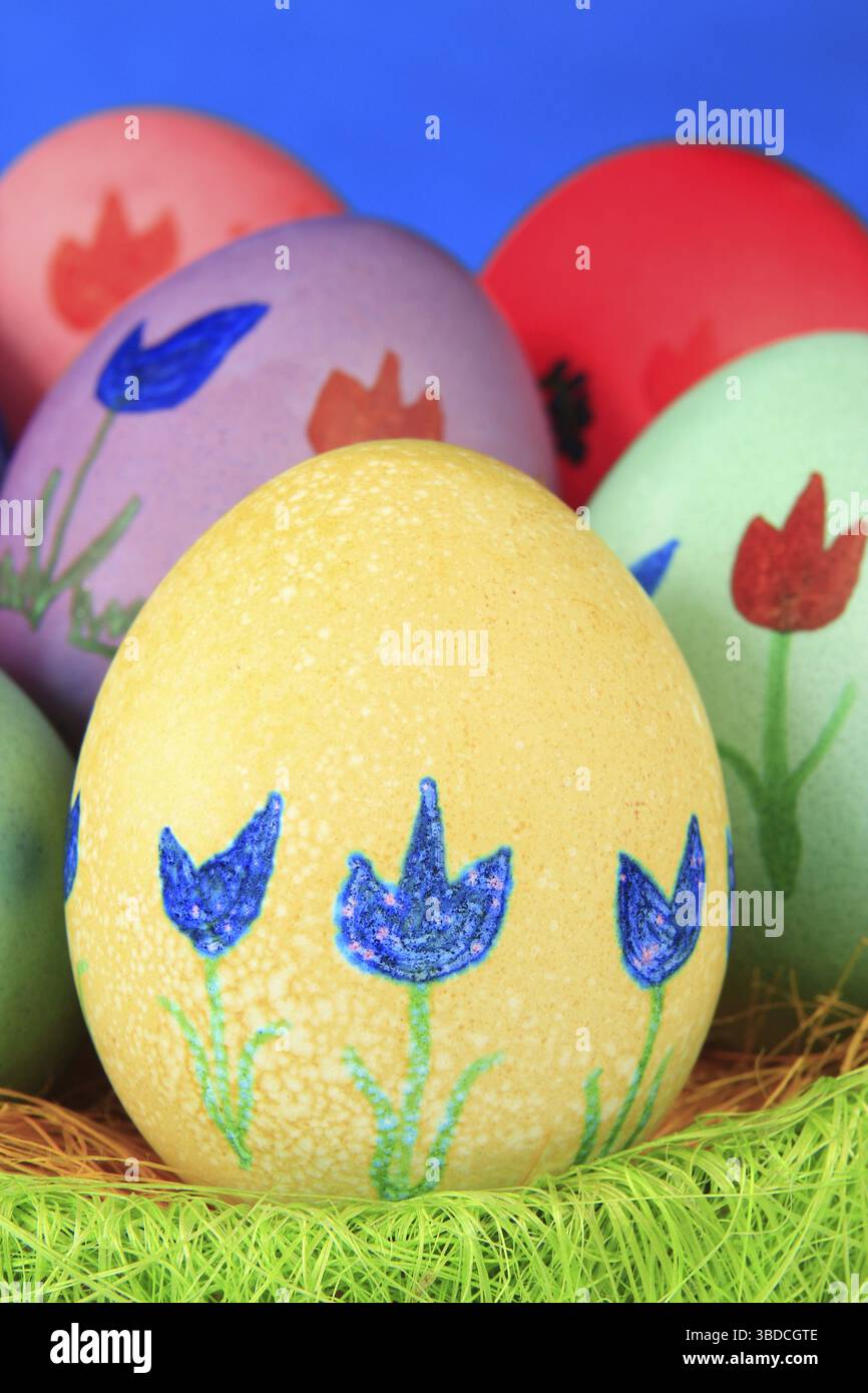 Colorfully painted Easter eggs in green Easter nest Colorfully painted Easter eggs in green Easter nest Stock Photo
