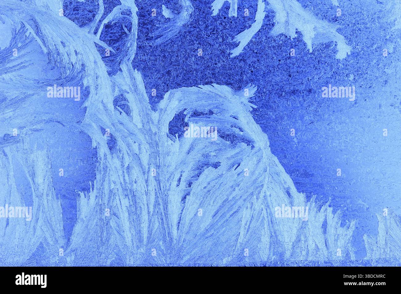 Ice flowers on a window pane Ice flowers on a window pane Stock Photo