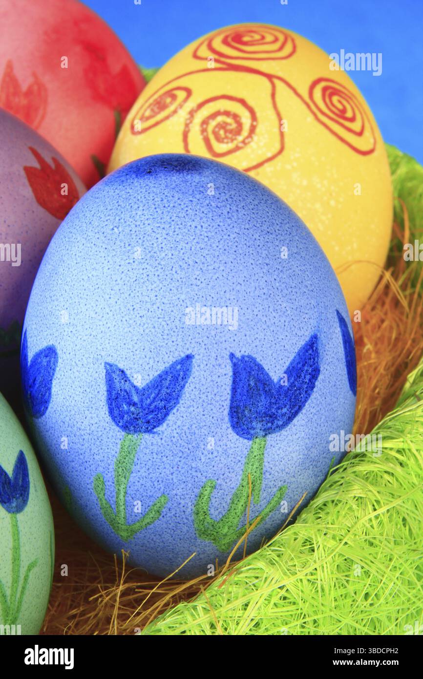 Colorfully painted Easter eggs in green Easter nest Colorfully painted Easter eggs in green Easter nest Stock Photo