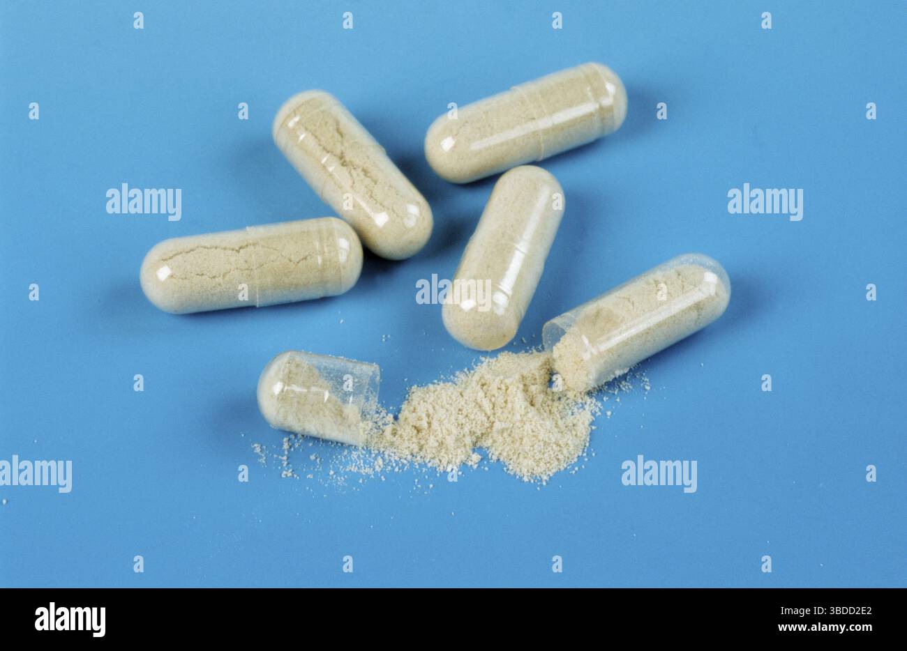 l carnitine solubility L-Carnitine Powder