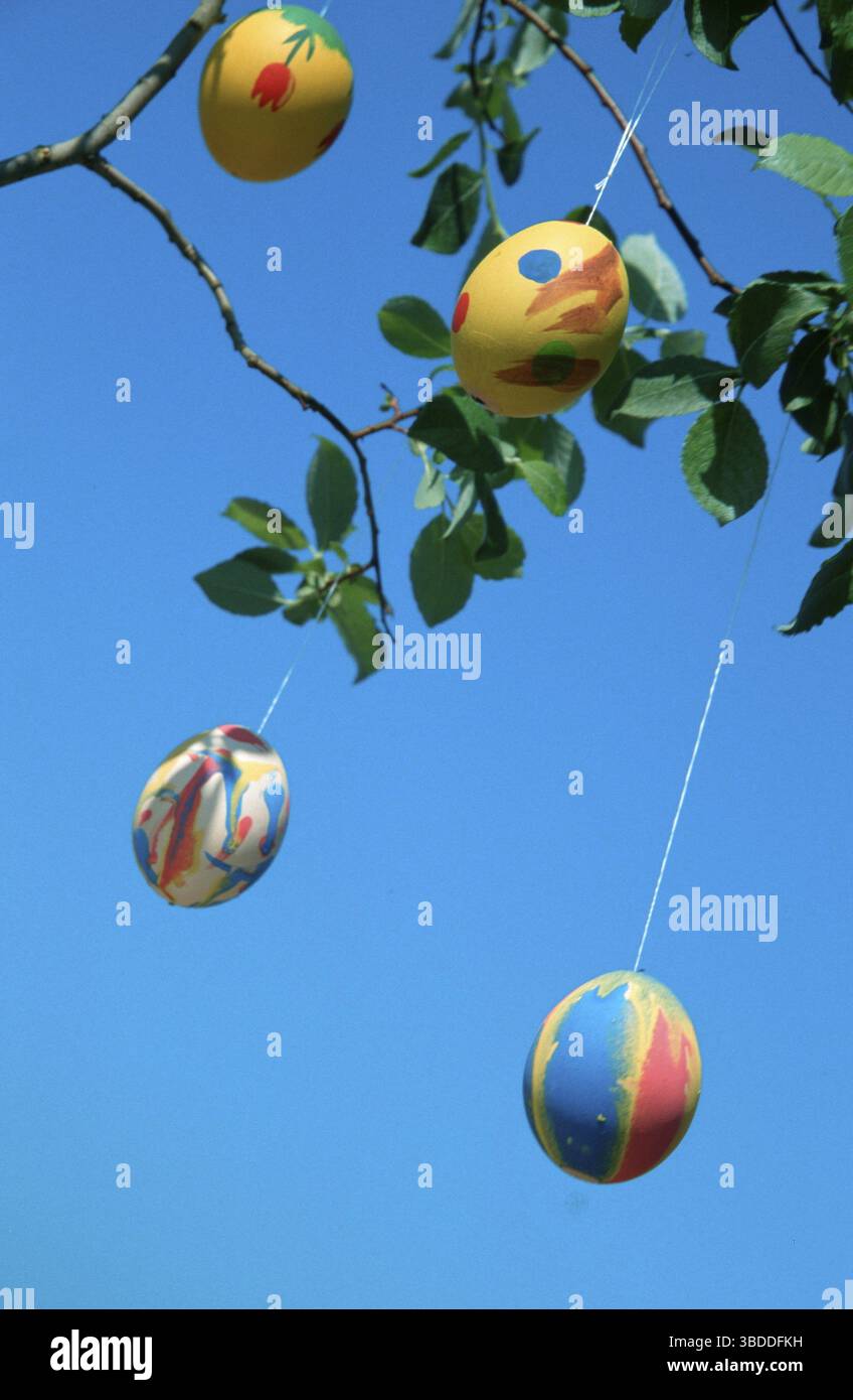 Easter Eggs as decoration on branches, customs, traditions, vertical, Germany Stock Photo