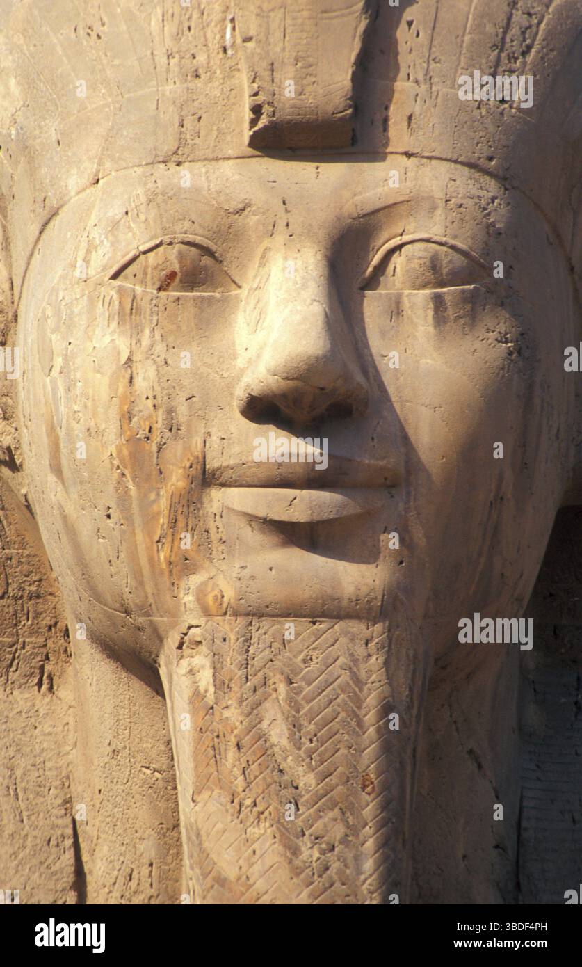 Statue Ranses Ii Statue of Pharaoh Ramses II, Memphis, Statue of Ramses, Egypt Stock ...