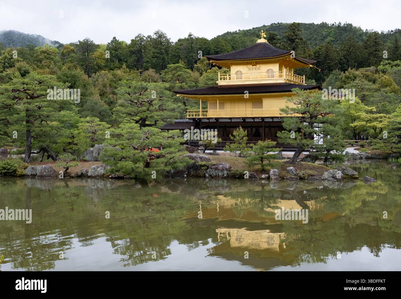 Golden pavilion, kinkaku-ji, reflecting on the water of the pond surrounded by trees and vegetation in kyoto, japan Stock Photo
