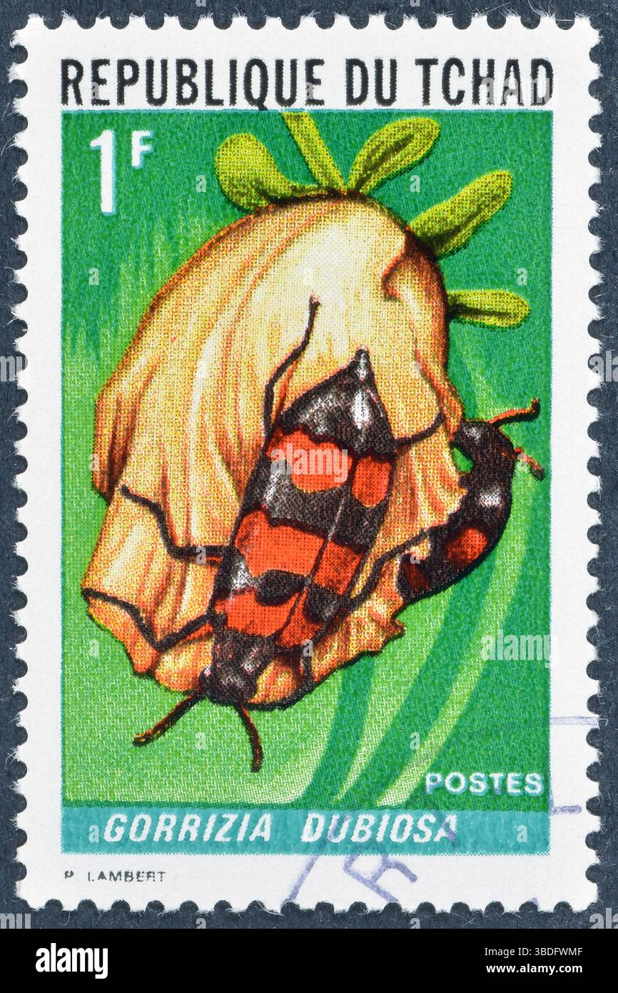 Cancelled postage stamp printed by Chad, that shows Ladybug , circa 1972. Stock Photo