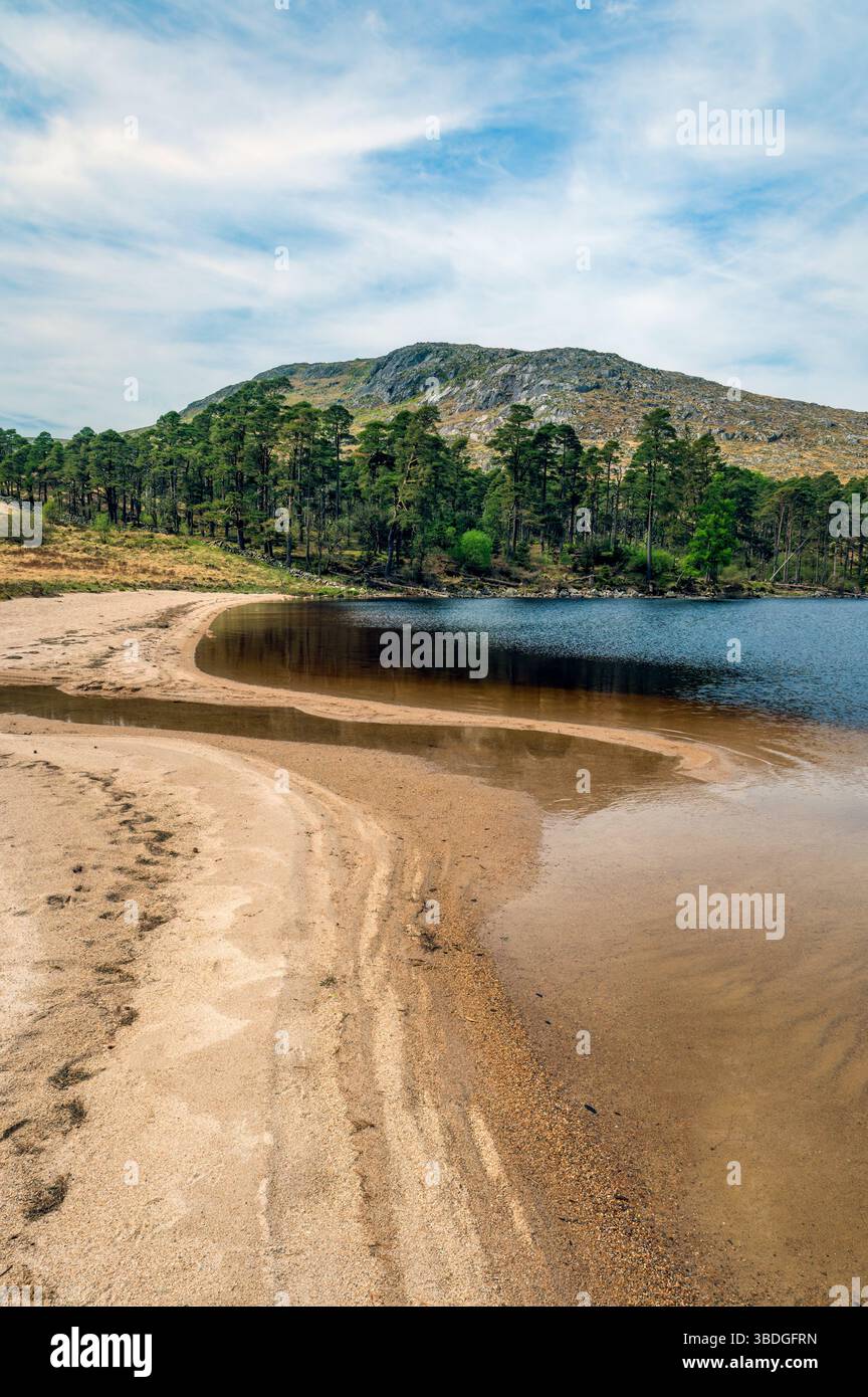 Loch Grannoch, Galloway Forest Park, Dumfries and Galloway, Scotland Stock Photo
