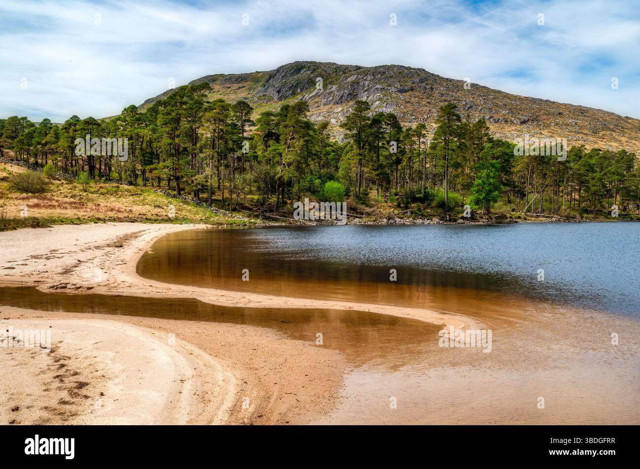 Loch Grannoch, Galloway Forest Park, Dumfries and Galloway, Scotland Stock Photo