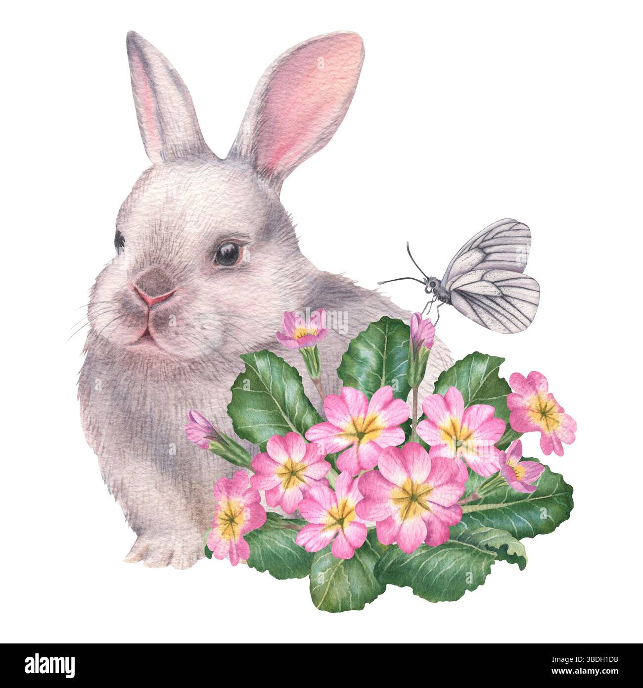 Easter fluffy white bunny with pink primula flowers and butterfly. Hand ...