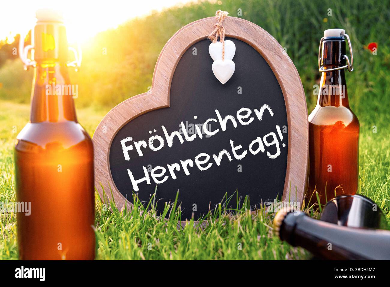 Herrentag Systemic Reform and the Path Forward