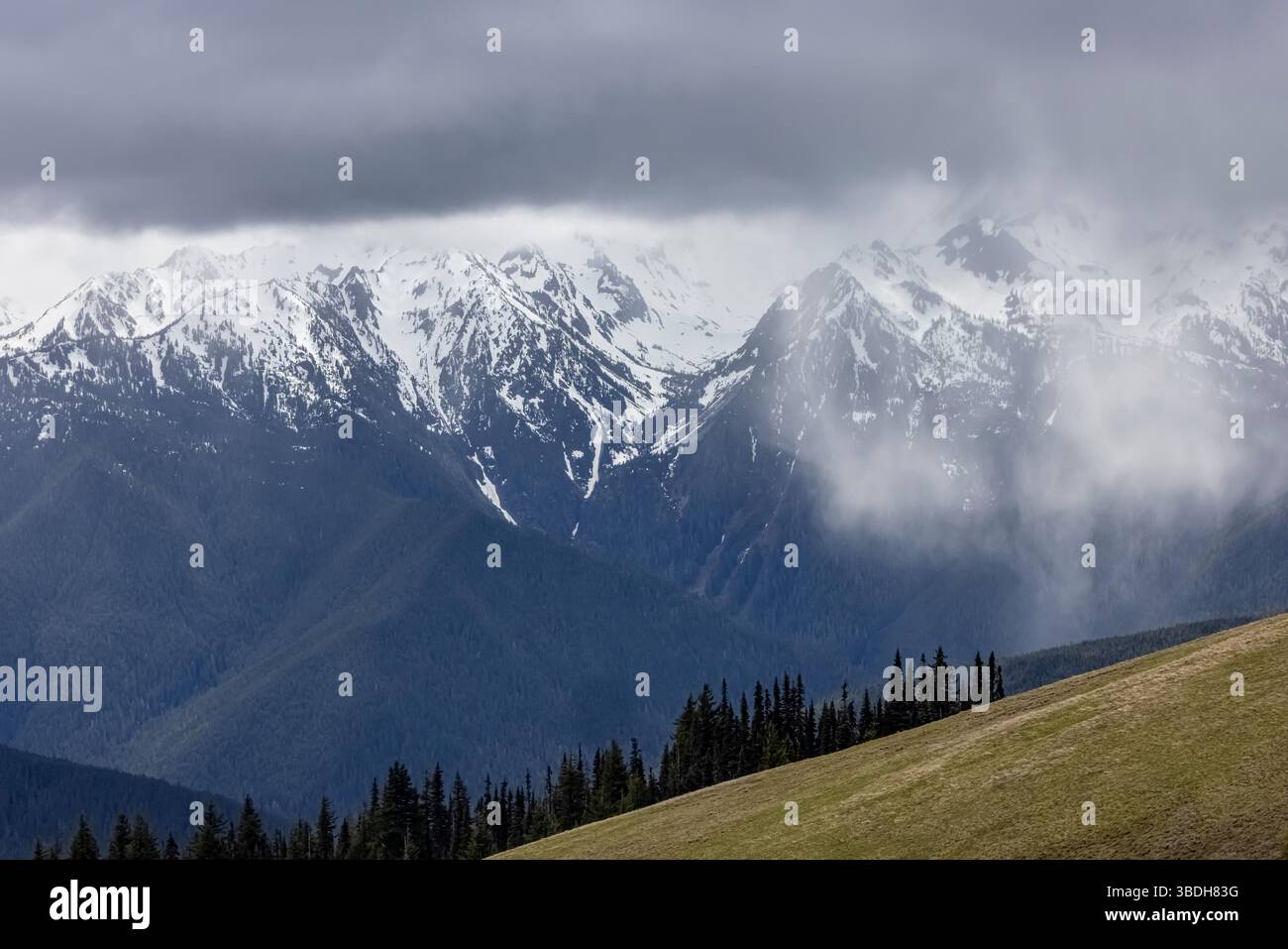 Hurricane Ridge Road, Olympic National Park, Washington State, USA ...