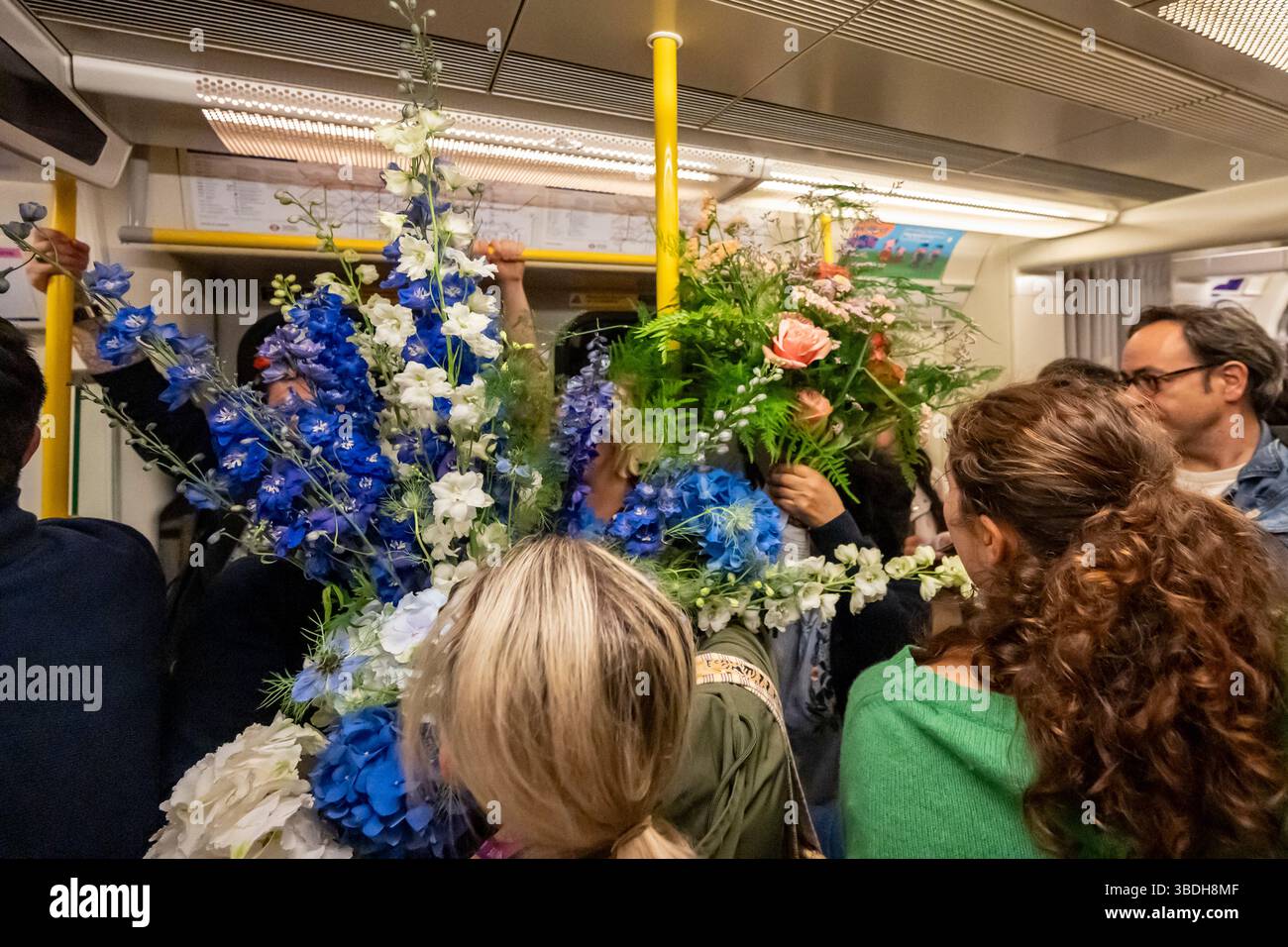 London, UK. 24 May 2025. A member of the public rides the District line ...