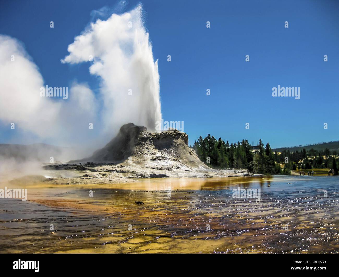 Castle Geyser erupts with hot water and steam with pools of ...