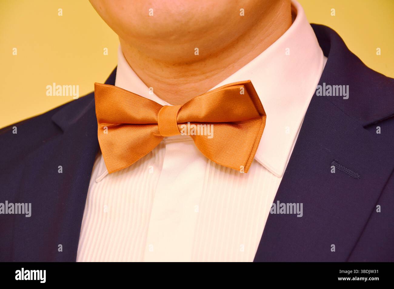 groom with beige bow tie Stock Photo