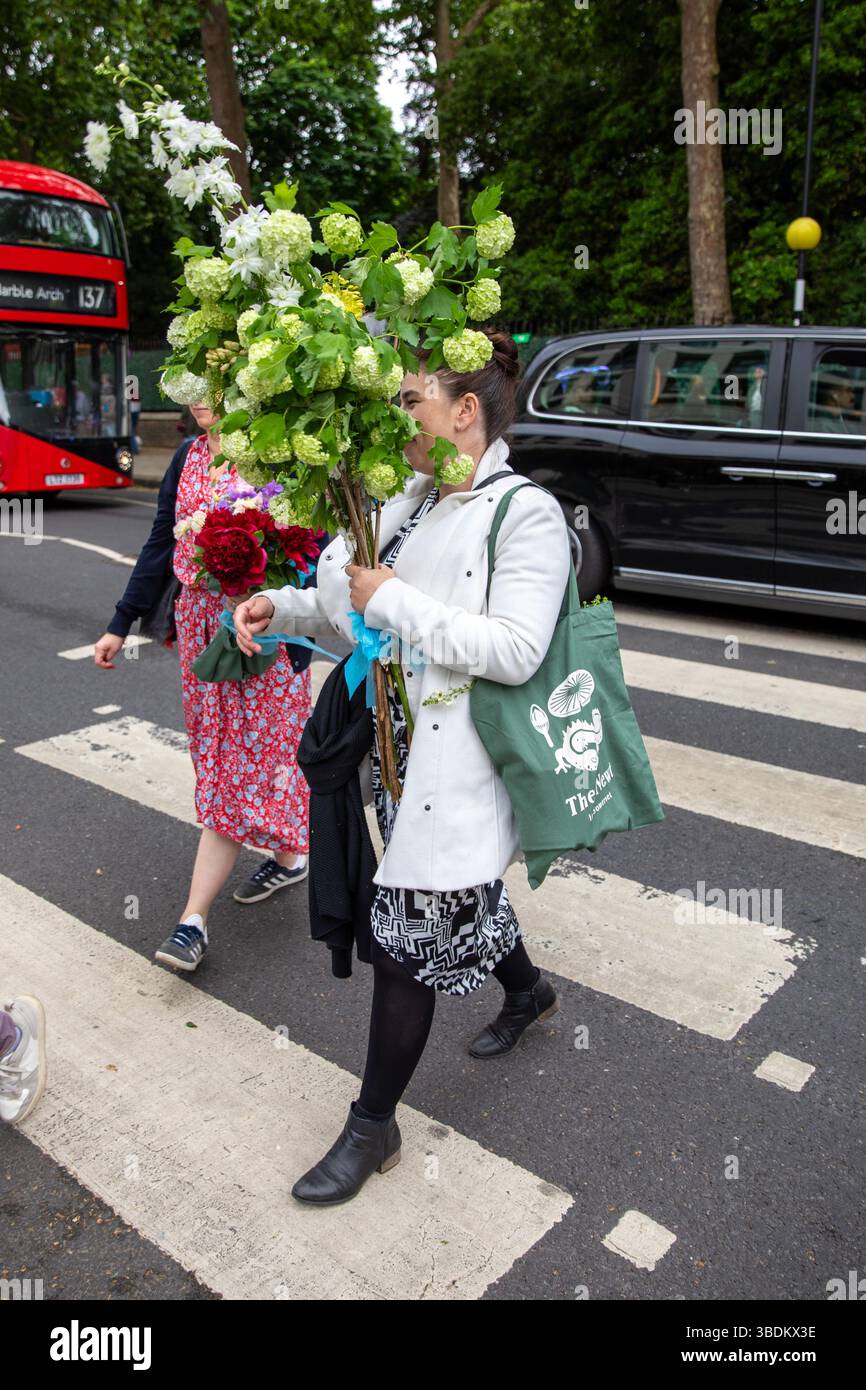 London, UK. 24th May, 2025. After buying several items from the Chelsea Flower Show a lady crosses the street on a zebra crossing. Members of the public take the opportunity to purchase flowers and plants that had previously been exhibited in displays at the Chelsea Flower Show. On the final day visitors can seen carrying plants, flowers and garden ornaments out of the venue and through the streets of Chelsea. (Photo by James Willoughby/SOPA Images/Sipa USA) Credit: Sipa USA/Alamy Live News Stock Photo