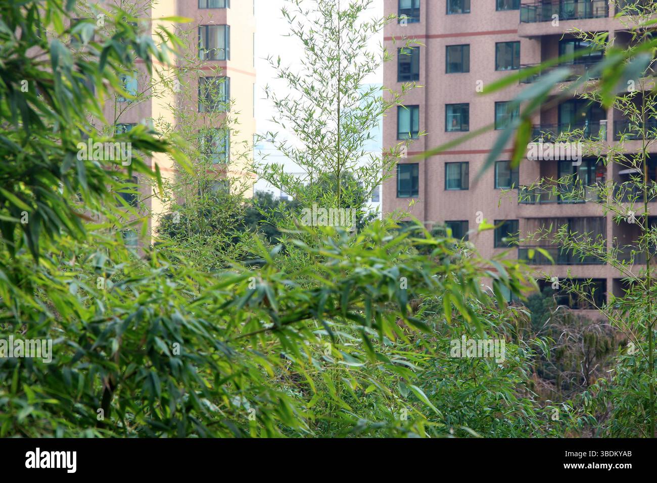Multi storey building through hi res stock photography and images Alamy