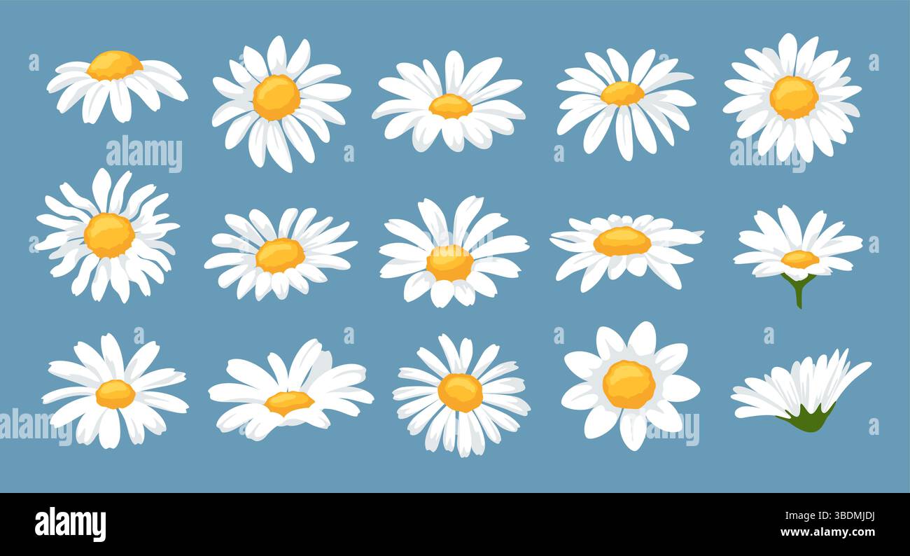 Tissu Blanc à Marguerites Jaunes Et Marron - 60" De Large - Au Mètre