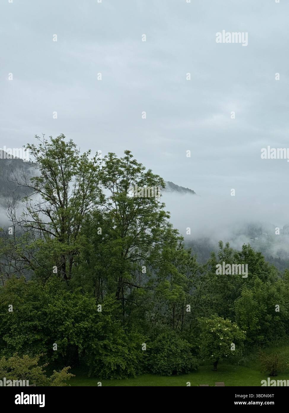 Bregenzerwald, Hittisau, Österreich, Nebel, Berghang, neblige Landschaft, Ruhe, Naturwiese, Holzliegen, Entspannung, Achtsamkeit, Regenwetter, Sommerr - Smartphone Captured Stock Image