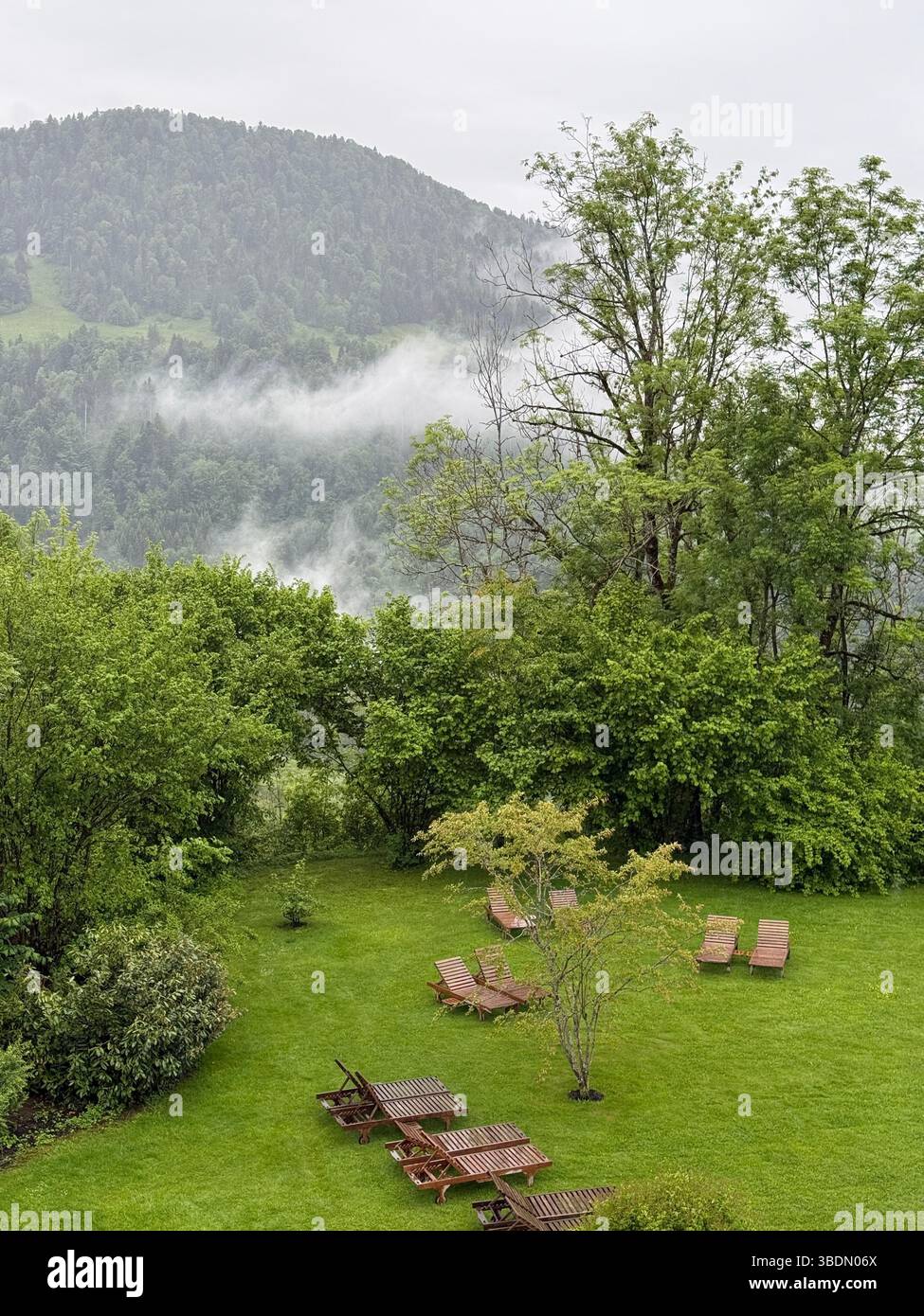 Bregenzerwald, Hittisau, Österreich, Nebel, Berghang, neblige Landschaft, Ruhe, Naturwiese, Holzliegen, Entspannung, Achtsamkeit, Regenwetter, Sommerr - Smartphone Captured Stock Image