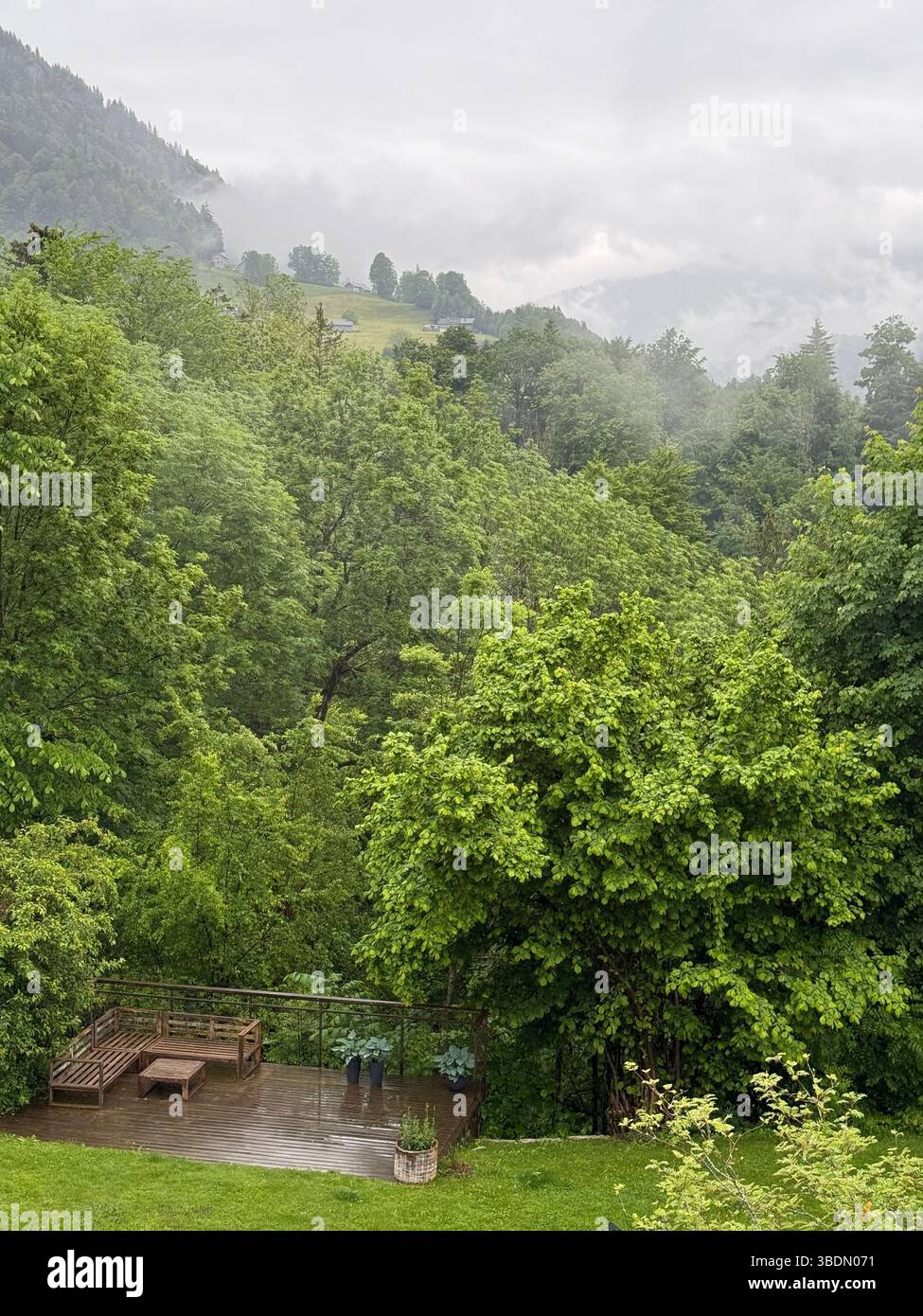 Bregenzerwald, Hittisau, Österreich, Nebel, Berghang, neblige Landschaft, Ruhe, Naturwiese, Holzliegen, Entspannung, Achtsamkeit, Regenwetter, Sommerr - Smartphone Captured Stock Image