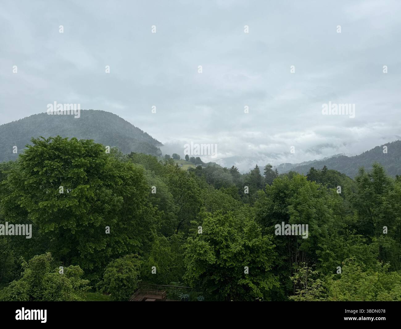 Bregenzerwald, Hittisau, Österreich, Nebel, Berghang, neblige Landschaft, Ruhe, Naturwiese, Holzliegen, Entspannung, Achtsamkeit, Regenwetter, Sommerr - Smartphone Captured Stock Image