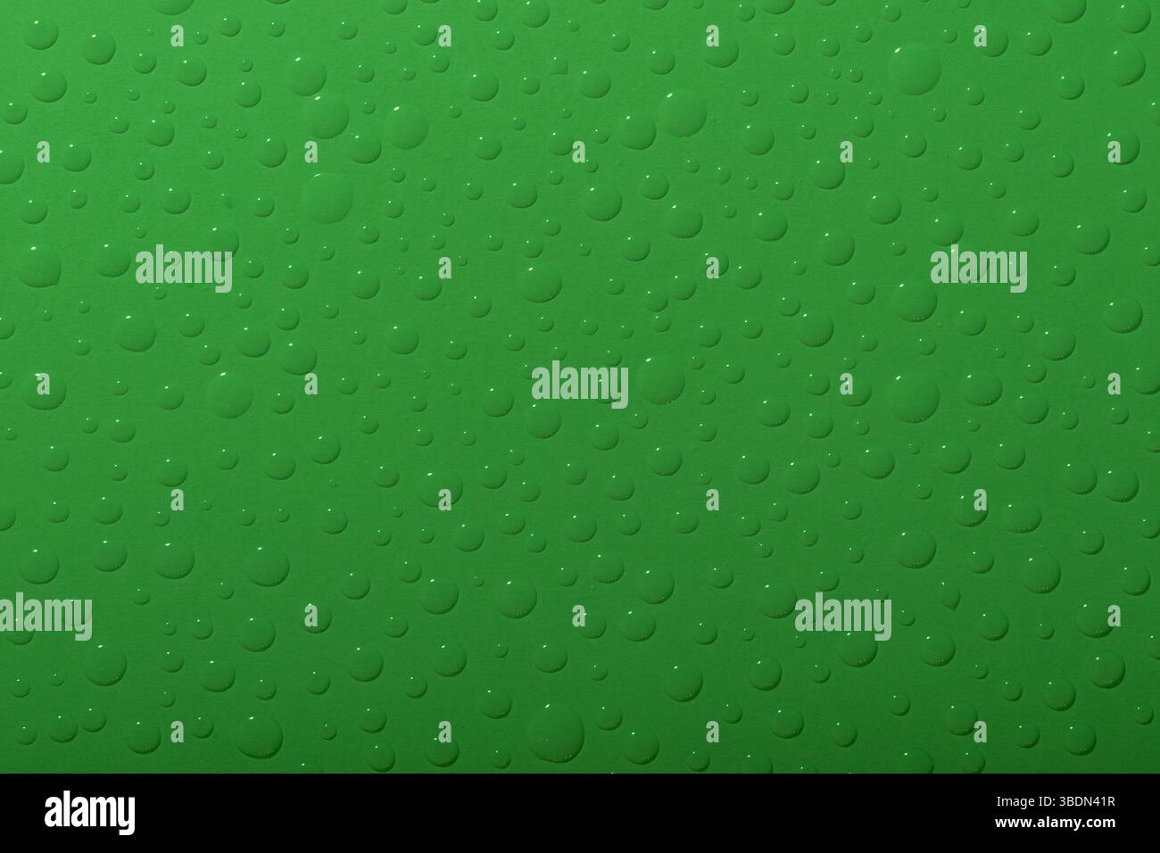 Water drops on green background. Top view. Stock Photo