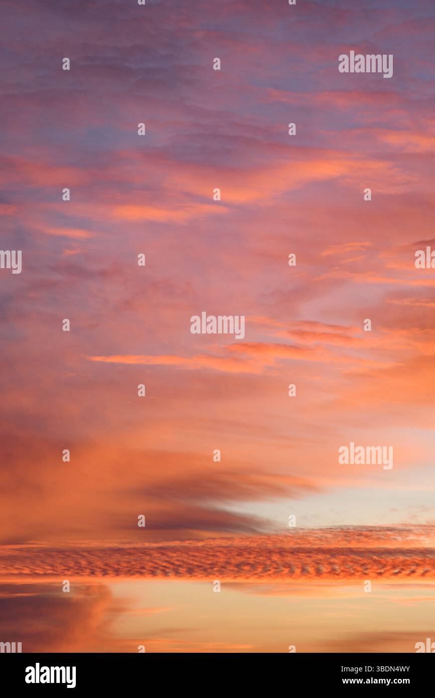 Romantic sky. Incredibly beautiful sunset. Pink clouds. Universal vertical photo. The background picture. Stock Photo