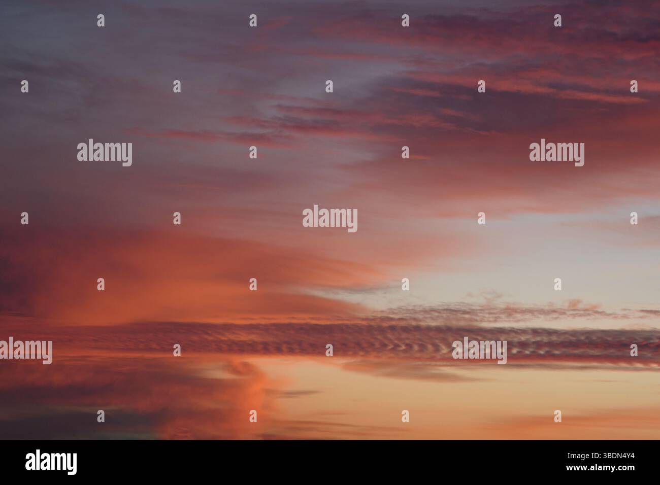 Pink clouds. Incredibly beautiful sunset. Universal horizontal picture. The background picture. Romantic. Stock Photo