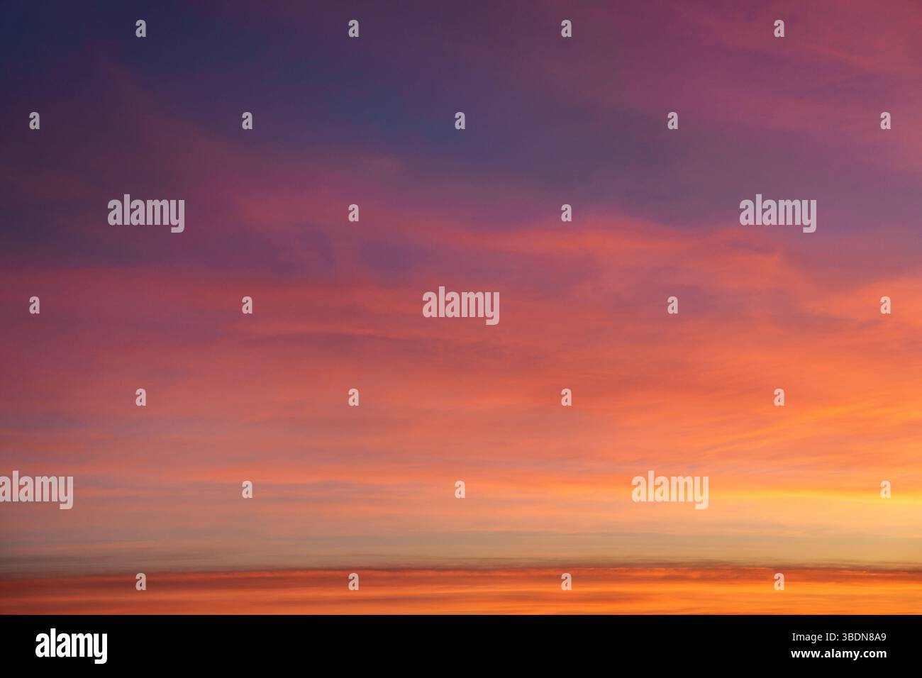 Background image. Incredible sky at sunset. Saturated yellow sky. Lilac clouds. Stock Photo