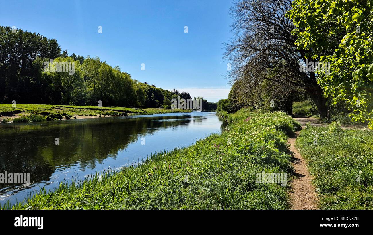 river winding through lush Stock Photo - Alamy