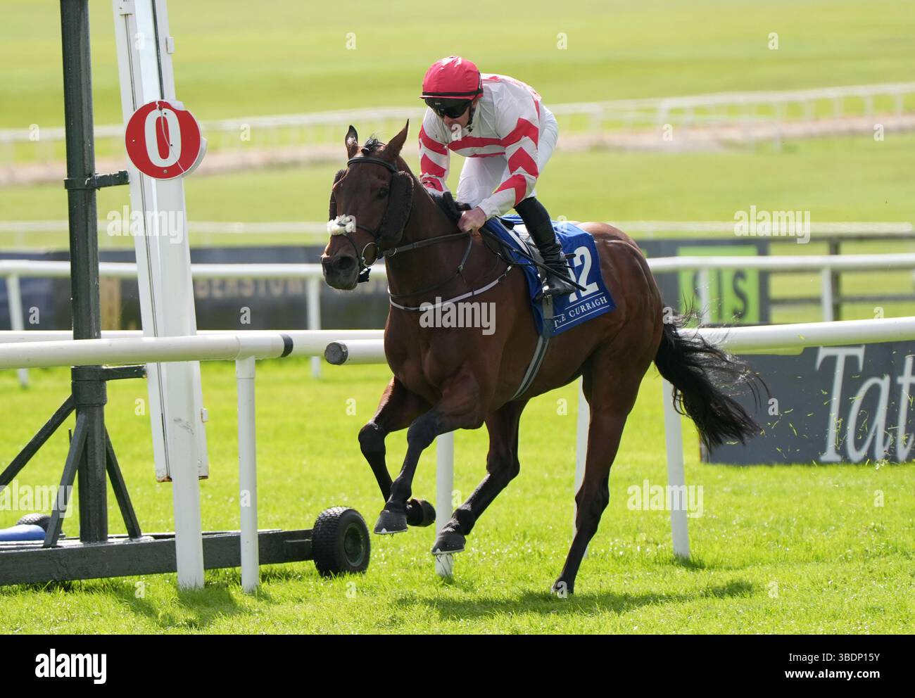 Curragh Rocks Robbies Rock ridden by Gary Carroll coming home to win the Cryoclinic ...