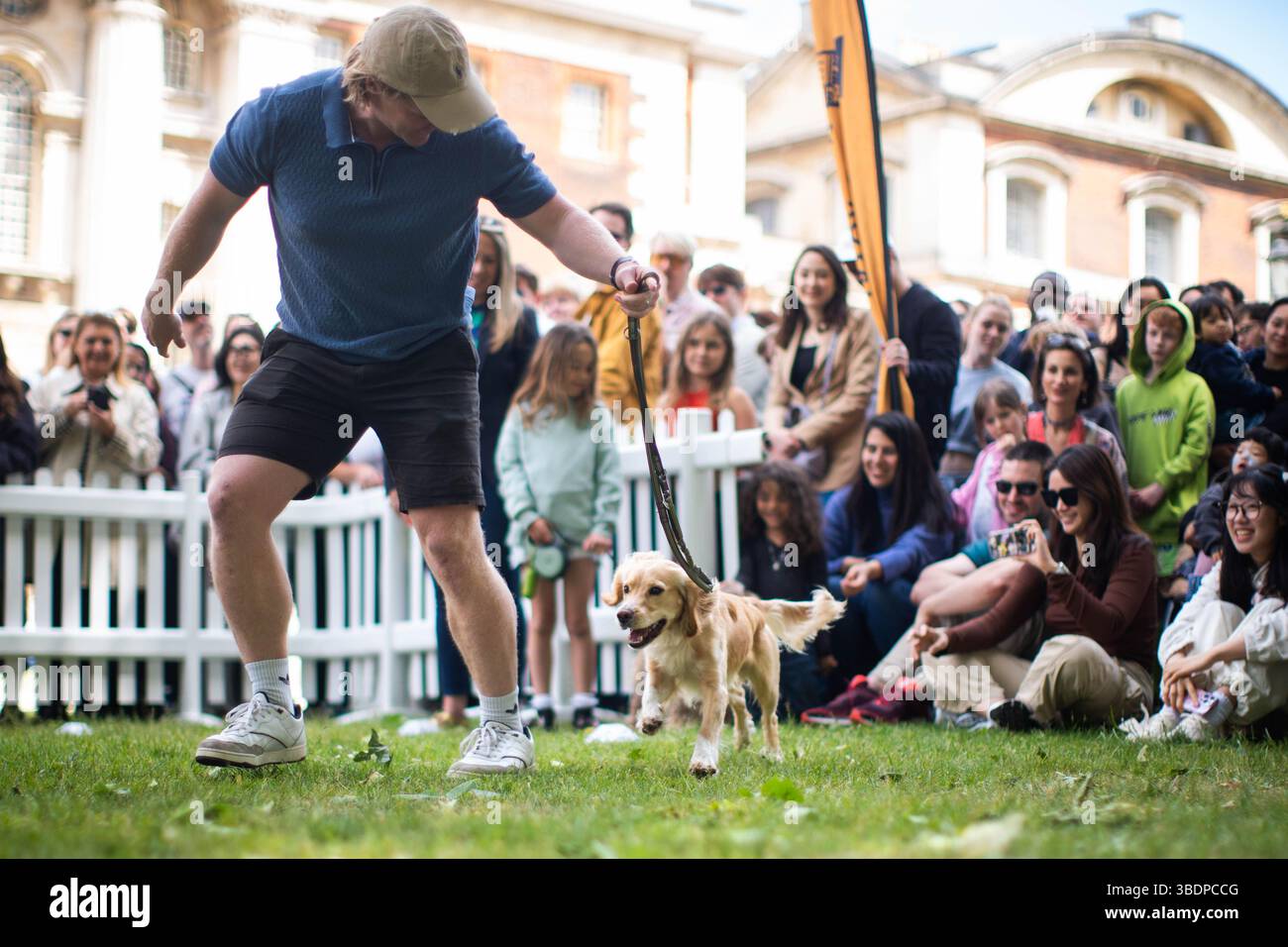 Curated visual reference: Nathaniel S Granwich Puppy Feast Reference: A Dog Runs During The Greenwich Dog Show At The