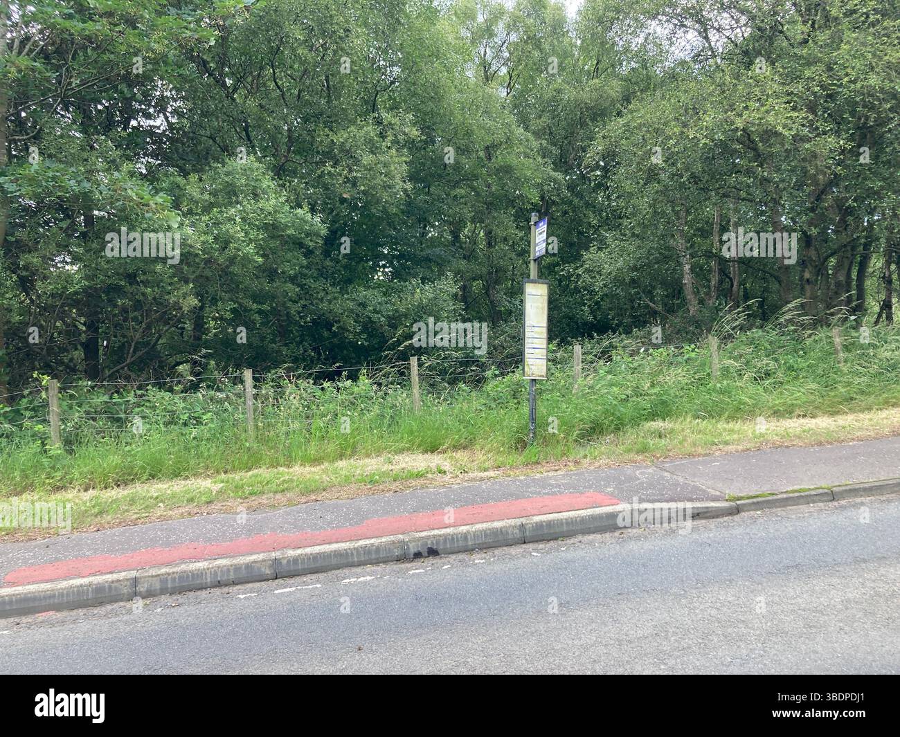 Remote rural bus stop along a quiet Fife road, highlighting minimal ...