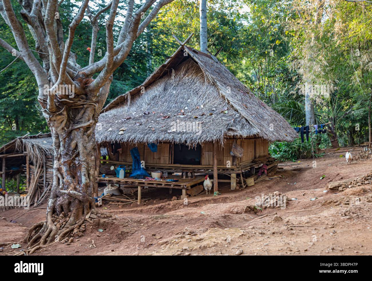 Residences of the Akha tribe area of the Union of Hill Tribe Villages ...