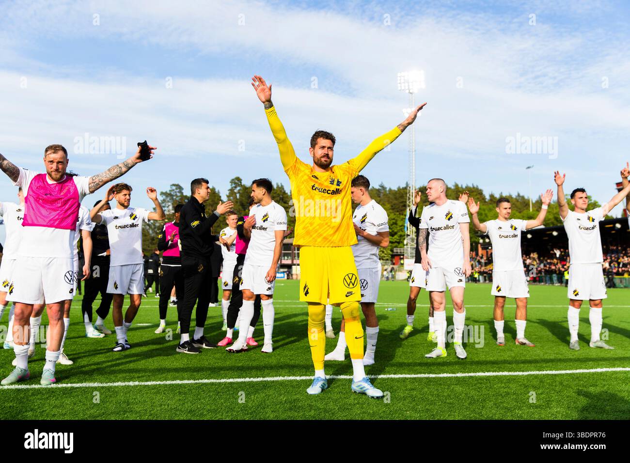 Allsvenskan Players Selected Kristoffer Nordfeldt Bold Omissions and Injury Woes