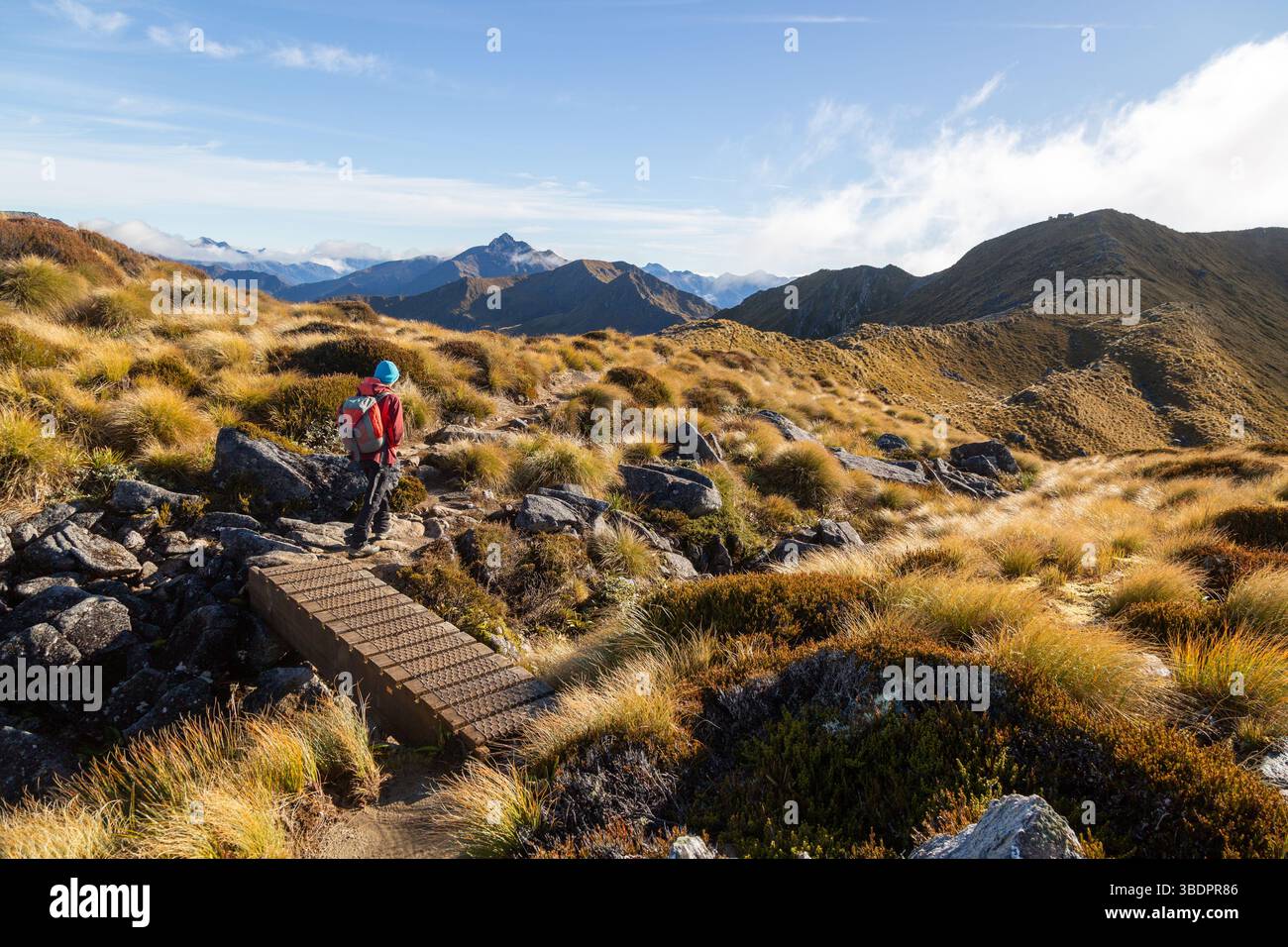 A Walker On The Alpine Section Of The Kepler Track Long Distance Hiking 