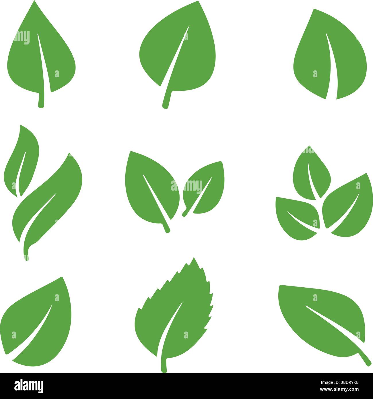 Icon set about maple leaf, leaves. Icons, flat vector illustrations Stock Vector