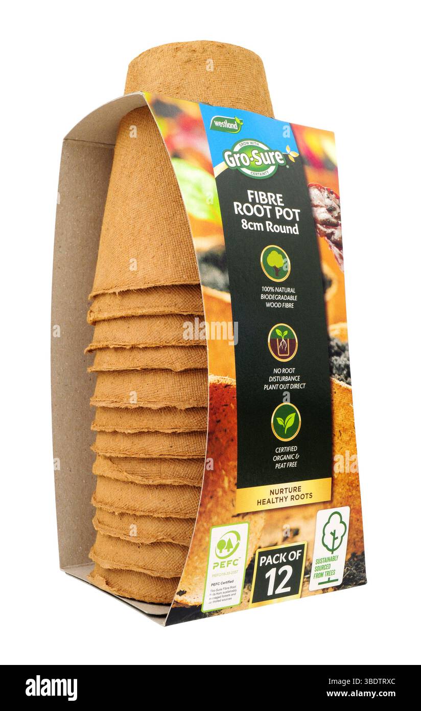 Westland gro sure natural fibre root plant pots in a pack containing 12, 8cm round pot Stock Photo