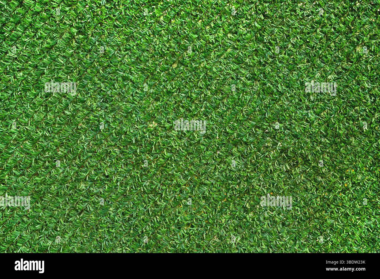 Artificial grass fence coating pattern as background and design element Stock Photo