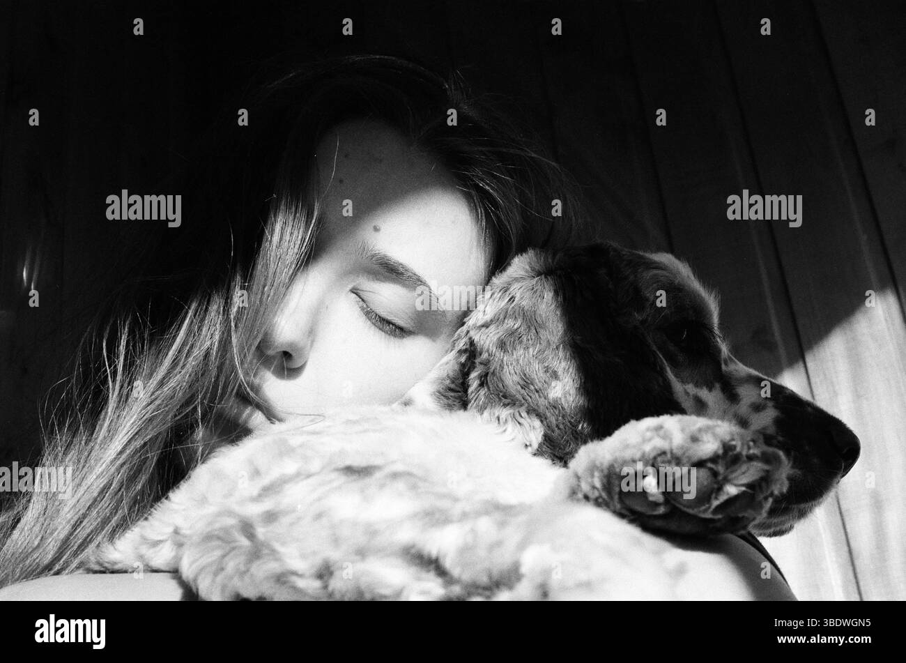 Woman with hair falling over her face embracing her spaniel Stock Photo