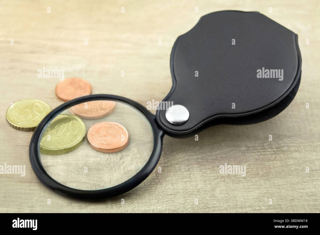 Lupe mit Etui und Euro  Folding Pocket Magnifier and Money Stock Photo