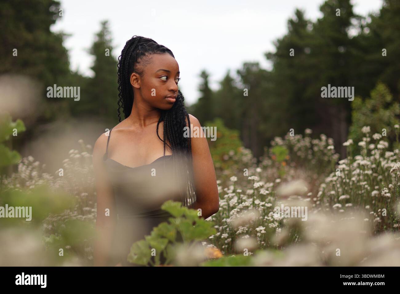 Young woman standing in a field of flowers Stock Photo